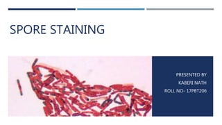 SPORE STAINING
PRESENTED BY
KABERI NATH
ROLL NO- 17PBT206
 