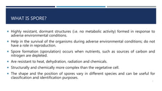 WHAT IS SPORE?
 Highly resistant, dormant structures (i.e. no metabolic activity) formed in response to
adverse environmental conditions.
 Help in the survival of the organisms during adverse environmental conditions; do not
have a role in reproduction.
 Spore formation (sporulation) occurs when nutrients, such as sources of carbon and
nitrogen are depleted.
 Are resistant to heat, dehydration, radiation and chemicals.
 Structurally and chemically more complex than the vegetative cell.
 The shape and the position of spores vary in different species and can be useful for
classification and identification purposes.
2
 