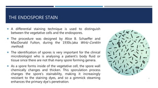 THE ENDOSPORE STAIN
 A differential staining technique is used to distinguish
between the vegetative cells and the endospores.
 The procedure was designed by Alice B. Schaeffer and
MacDonald Fulton, during the 1930s.(aka Wirtz-Conklin
method)
 The identification of spores is very important for the clinical
microbiologist who is analysing a patient's body fluid or
tissue since there are not that many spore forming genera.
 As a spore forms inside of the vegetative cell, the spore wall
chemically changes and thicken. This sporulation process
changes the spore’s stainability, making it increasingly
resistant to the staining dyes, and so a gimmick steaming
enhances the primary dye’s penetration.
4
 