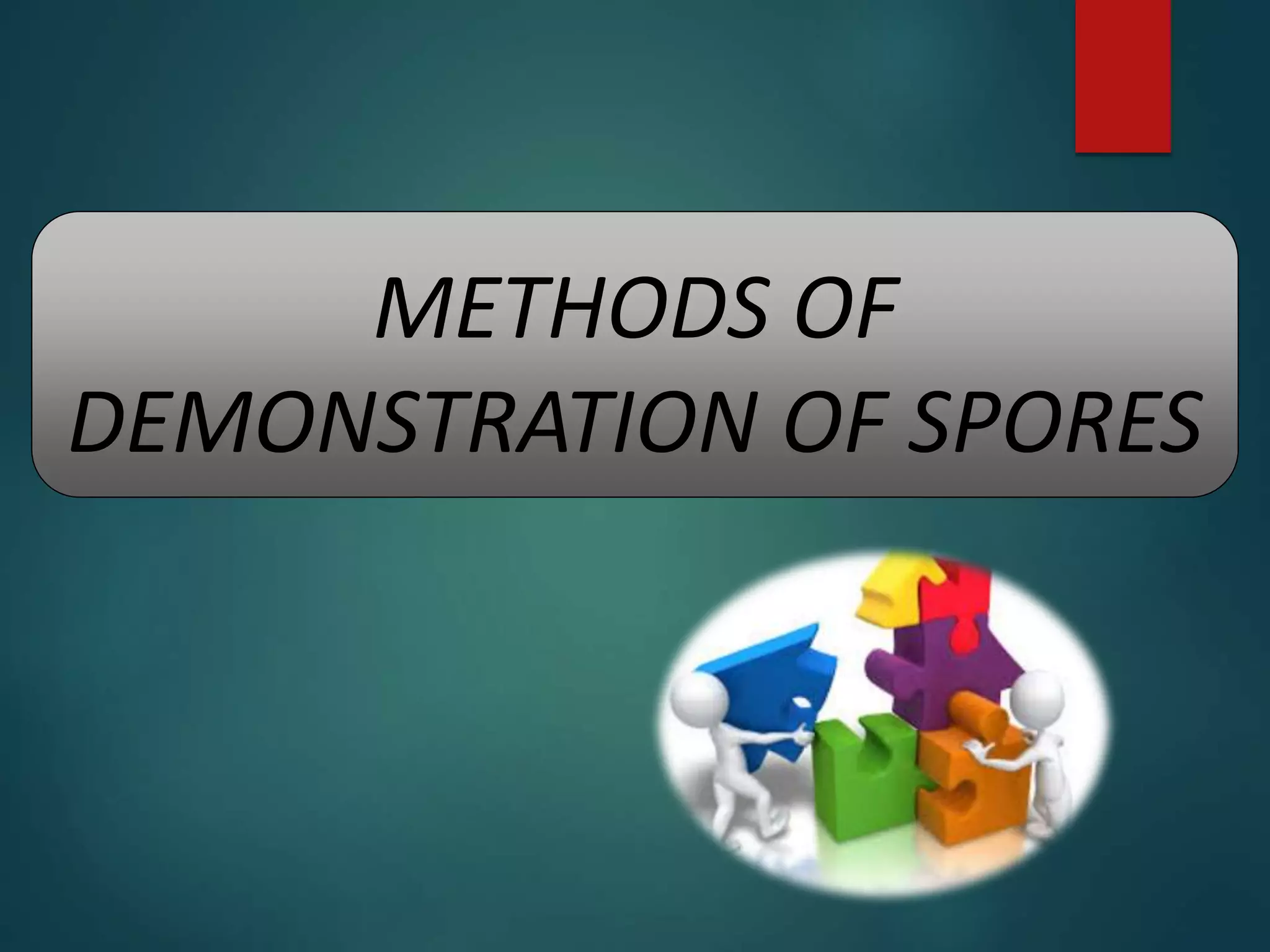 METHODS OF
DEMONSTRATION OF SPORES
 