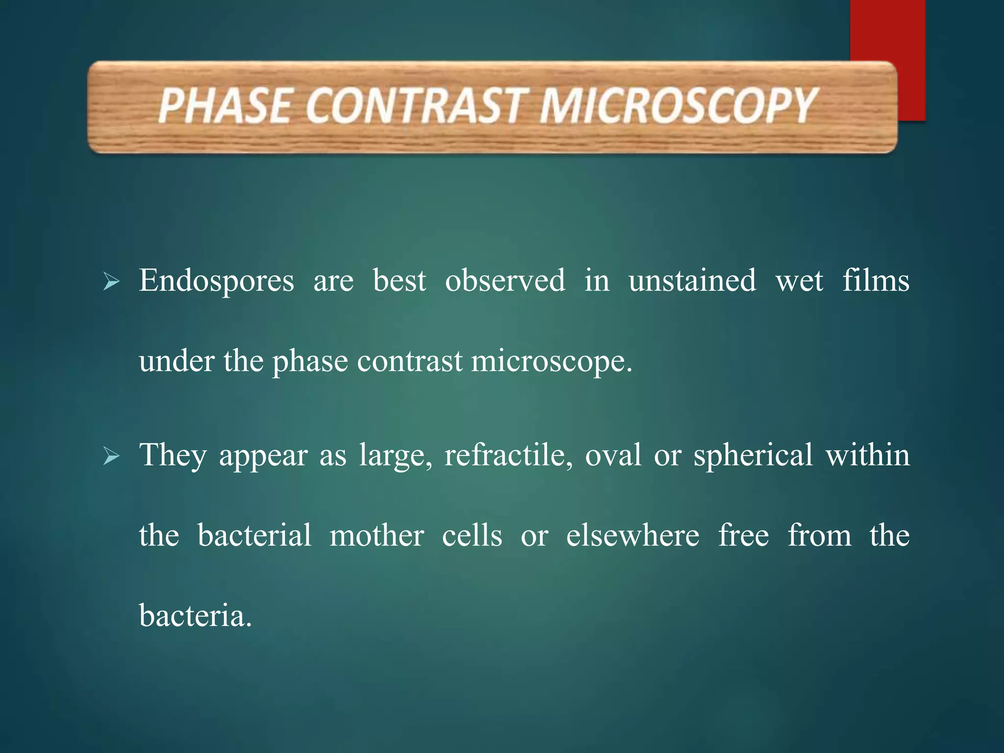  Endospores are best observed in unstained wet films
under the phase contrast microscope.
 They appear as large, refractile, oval or spherical within
the bacterial mother cells or elsewhere free from the
bacteria.
 