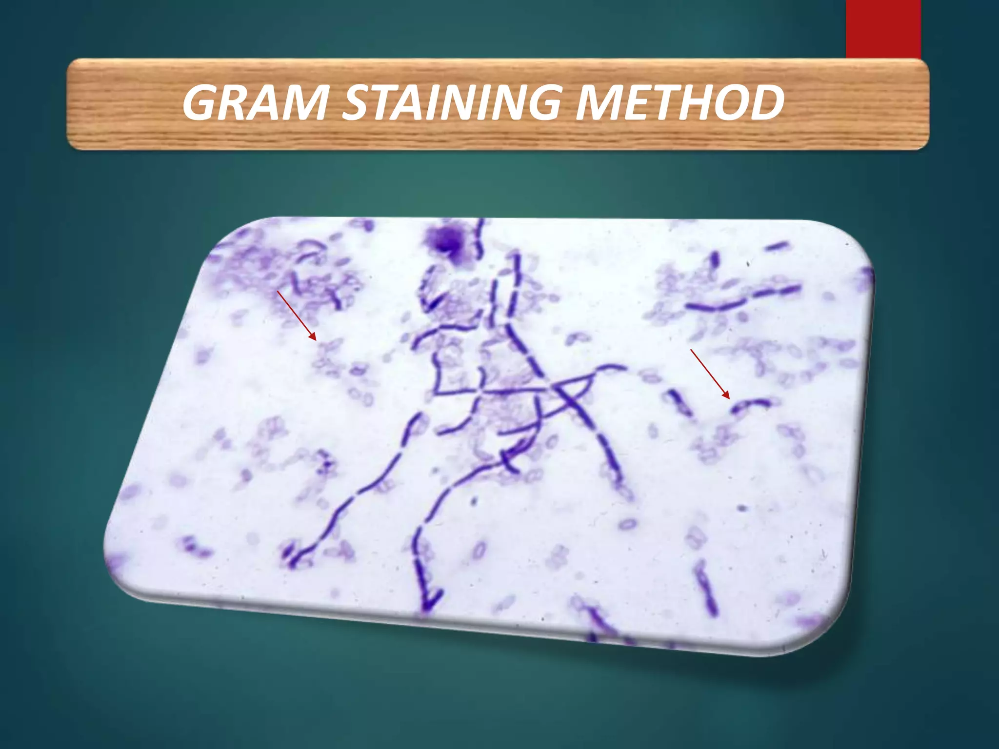 GRAM STAINING METHOD
 