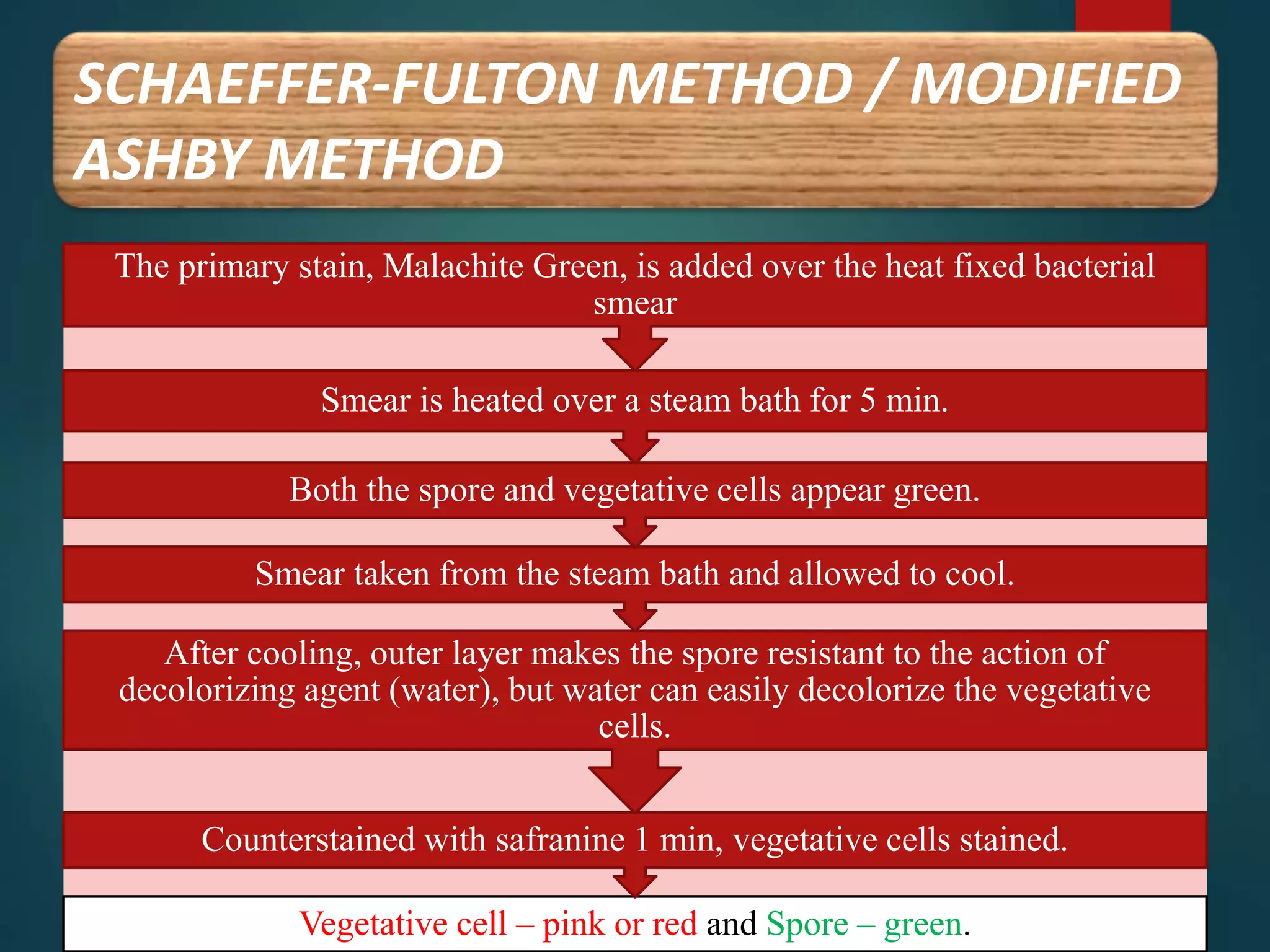 SCHAEFFER-FULTON METHOD / MODIFIED
ASHBY METHOD
Vegetative cell – pink or red and Spore – green.
Counterstained with safranine 1 min, vegetative cells stained.
After cooling, outer layer makes the spore resistant to the action of
decolorizing agent (water), but water can easily decolorize the vegetative
cells.
Smear taken from the steam bath and allowed to cool.
Both the spore and vegetative cells appear green.
Smear is heated over a steam bath for 5 min.
The primary stain, Malachite Green, is added over the heat fixed bacterial
smear
 