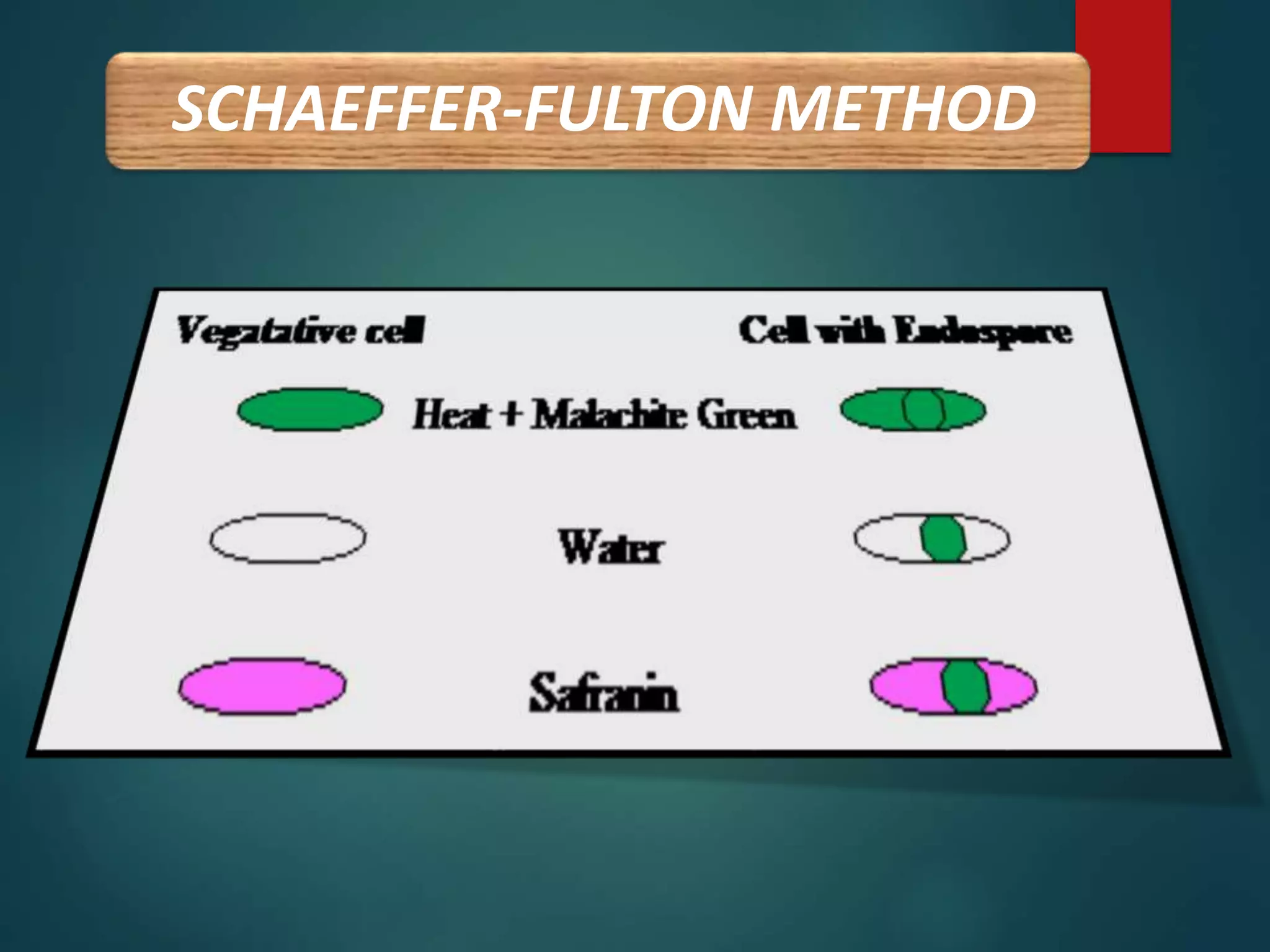 SCHAEFFER-FULTON METHOD
 