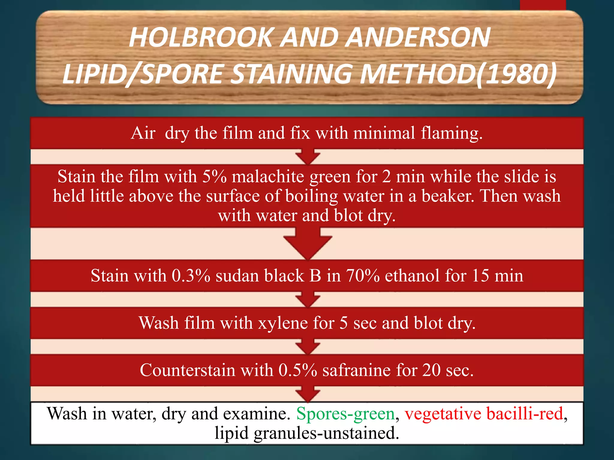 HOLBROOK AND ANDERSON
LIPID/SPORE STAINING METHOD(1980)
Wash in water, dry and examine. Spores-green, vegetative bacilli-red,
lipid granules-unstained.
Counterstain with 0.5% safranine for 20 sec.
Wash film with xylene for 5 sec and blot dry.
Stain with 0.3% sudan black B in 70% ethanol for 15 min
Stain the film with 5% malachite green for 2 min while the slide is
held little above the surface of boiling water in a beaker. Then wash
with water and blot dry.
Air dry the film and fix with minimal flaming.
 