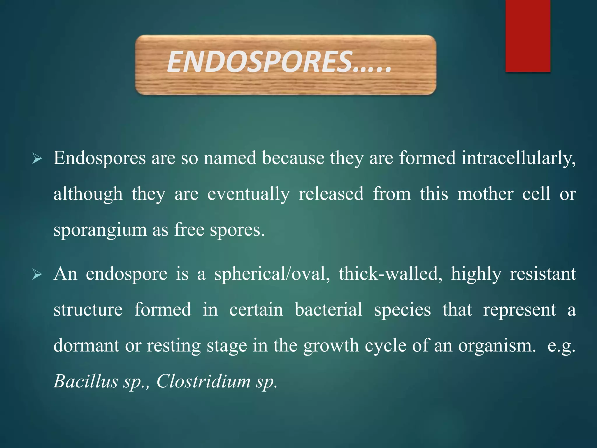 ENDOSPORES…..
 Endospores are so named because they are formed intracellularly,
although they are eventually released from this mother cell or
sporangium as free spores.
 An endospore is a spherical/oval, thick-walled, highly resistant
structure formed in certain bacterial species that represent a
dormant or resting stage in the growth cycle of an organism. e.g.
Bacillus sp., Clostridium sp.
 