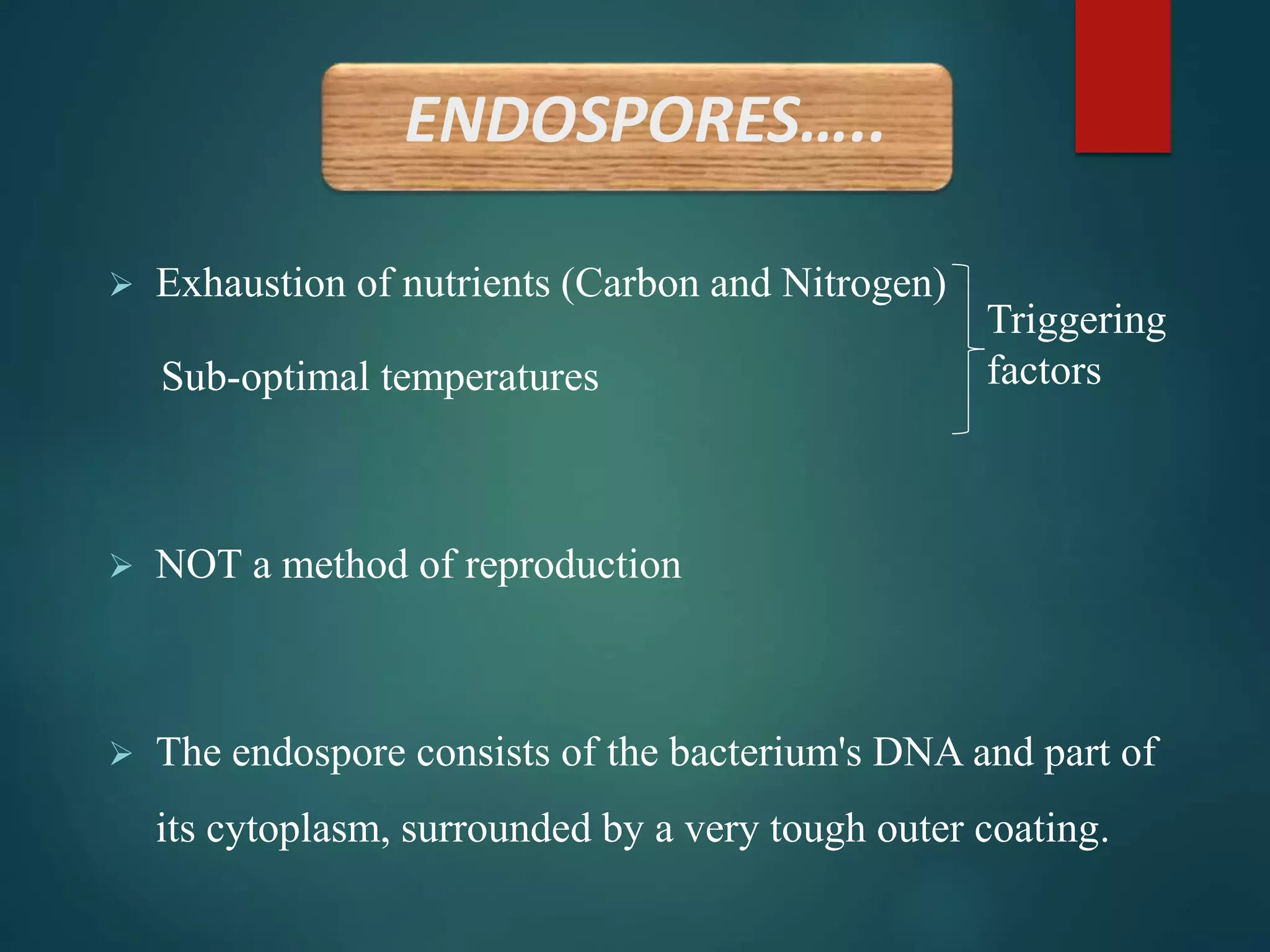 ENDOSPORES…..
 Exhaustion of nutrients (Carbon and Nitrogen)
Sub-optimal temperatures
 NOT a method of reproduction
 The endospore consists of the bacterium's DNA and part of
its cytoplasm, surrounded by a very tough outer coating.
Triggering
factors
 