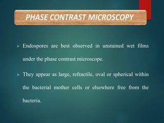  Endospores are best observed in unstained wet films
under the phase contrast microscope.
 They appear as large, refractile, oval or spherical within
the bacterial mother cells or elsewhere free from the
bacteria.
 