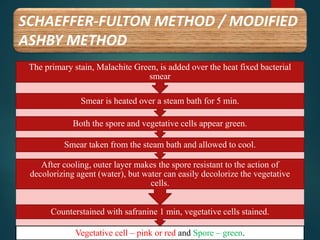SCHAEFFER-FULTON METHOD / MODIFIED
ASHBY METHOD
Vegetative cell – pink or red and Spore – green.
Counterstained with safranine 1 min, vegetative cells stained.
After cooling, outer layer makes the spore resistant to the action of
decolorizing agent (water), but water can easily decolorize the vegetative
cells.
Smear taken from the steam bath and allowed to cool.
Both the spore and vegetative cells appear green.
Smear is heated over a steam bath for 5 min.
The primary stain, Malachite Green, is added over the heat fixed bacterial
smear
 