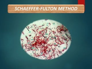 SCHAEFFER-FULTON METHOD
 