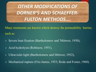 Many treatments are known which destroy the permeability barrier,
such as
 Severe heat fixation (Bartholomew and 'Mittwer, 1950),
 Acid hydrolysis (Robinow, 1951),
 Ultraviolet light (Bartholomew and Mittwer, 1952),
 Mechanical rupture (Fitz-James, 1953; Rode and Foster, 1960).
OTHER MODIFICATIONS OF
DORNER’S AND SCHAEFFER-
FULTON METHODS….
 