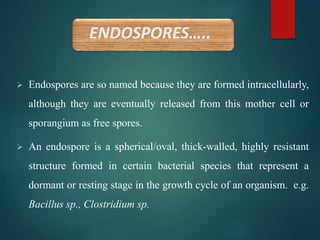 ENDOSPORES…..
 Endospores are so named because they are formed intracellularly,
although they are eventually released from this mother cell or
sporangium as free spores.
 An endospore is a spherical/oval, thick-walled, highly resistant
structure formed in certain bacterial species that represent a
dormant or resting stage in the growth cycle of an organism. e.g.
Bacillus sp., Clostridium sp.
 