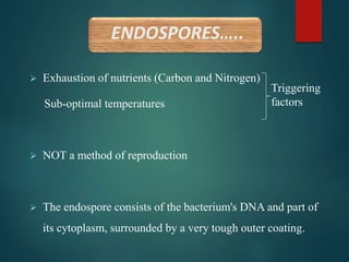 ENDOSPORES…..
 Exhaustion of nutrients (Carbon and Nitrogen)
Sub-optimal temperatures
 NOT a method of reproduction
 The endospore consists of the bacterium's DNA and part of
its cytoplasm, surrounded by a very tough outer coating.
Triggering
factors
 