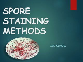 SPORE
STAINING
METHODS
DR. KOMAL
LOHI
 