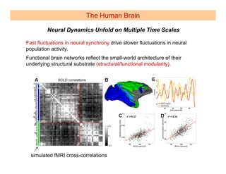 The Human Brain

         Neural Dynamics Unfold on Multiple Time Scales

Fast fluctuations in neural synchrony drive slower fluctuations in neural
population activity.
Functional brain networks reflect the small-world architecture of their
underlying structural substrate (structural/functional modularity).




  simulated fMRI cross-correlations
 