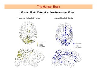 The Human Brain
     Human Brain Networks Have Numerous Hubs

connector hub distribution      centrality distribution
 