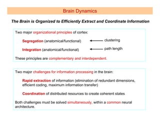 Brain Dynamics

The Brain is Organized to Efficiently Extract and Coordinate Information

  Two major organizational principles of cortex:

      Segregation (anatomical/functional)                clustering

      Integration (anatomical/functional)                path length

  These principles are complementary and interdependent.


  Two major challenges for information processing in the brain:

      Rapid extraction of information (elimination of redundant dimensions,
      efficient coding, maximum information transfer)

      Coordination of distributed resources to create coherent states

  Both challenges must be solved simultaneously, within a common neural
  architecture.
 