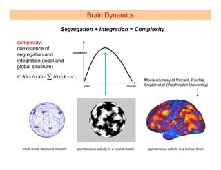 Brain Dynamics

                            Segregation + Integration = Complexity

complexity:
coexistence of
                                    complexity
segregation and
integration (local and
global structure)
C ( X ) = H ( X ) − ∑i H ( xi X − xi ).
                                                                                   Movie courtesy of Vincent, Raichle,
                                                                                   Snyder et al (Washington University)




   small-world structural network         spontaneous activity in a neural model    spontaneous activity in a human brain
 