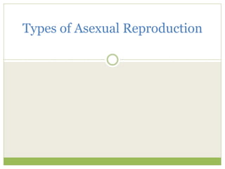 Types of Asexual Reproduction
 