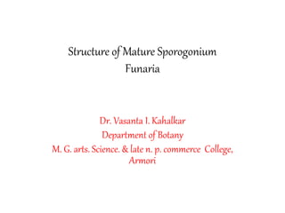 Structure of Mature Sporogonium
Funaria
Dr. Vasanta I. Kahalkar
Department of Botany
M. G. arts. Science. & late n. p. commerce College,
Armori
 