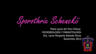 Sporothrix Schenckii
María Laura del Toro Chávez.
MICROBIOLOGÍA Y PARASITOLOGÍA
Dra. Laura Margarita Salcedo Flores
Noviembre 2013
 