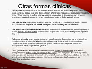 Otras formas clínicas.
• Linfangítica: representa el 70% de todas las formas clínicas. Se manifiesta por una lesión que se
inicia como una pápula en el sitio de inoculación (chancro de inoculación); después se transforma
en un nódulo o goma, el cual se ulcera y presenta tendencia a la cicatrización; con el tiempo
aparecen nuevas lesiones ascendentes que siguen el trayecto de los vasos linfáticos.
• Fija o localizada: Se presenta una lesión única en el sitio de inoculación, cuyo aspecto puede
adoptar la forma de placa, de ulcera, verrugosa, ulcero-verrugosa o acneiforme.
• Las formas de esporotricosis extracutáneas se relacionan con factores de inmunosupresión y
puede afectar a muchos tejidos; con frecuencia se presenta fiebre, mal estado general y pérdida
de peso:
• Pulmonar primaria: es un cuadro clínico muy poco frecuente. Se adquiere por la inhalación de
conidios del agente etiológico y la sintomatología es muy similar a la de una tuberculosis,
causando en ocasiones lesiones cavitarias, que se inician como bronquitis o neumonitis,
acompañadas de fiebre y malestar general.
• Ósea y articular: se desarrollan lesiones osteolíticas en uno o varios huesos, que afectan
principalmente a la tibia, carpo, metatarso, radio y fémur. Casi siempre se desarrolla a partir de
una esporotricosis pulmonar primaria. Se presenta inflamación, dolor, incapacidad de movimiento
y destrucción de la articulación con sinovitis. Las articulaciones más afectadas con las
metacárpicas y las falángicas.
• .
 