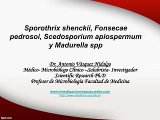 Sporothrix shenckii, Fonsecae
pedrosoi, Scedosporium apiospermum
y Madurella spp
Dr. Antonio Vásquez Hidalgo
Médico- Microbiólogo Clínico –Salubrista- Investigador
Scientific Research Ph.D
Profesor de Microbiología Facultad de Medicina
www.investigacionvasquez.webs.com
http://www.medicina.ues.edu.sv
 