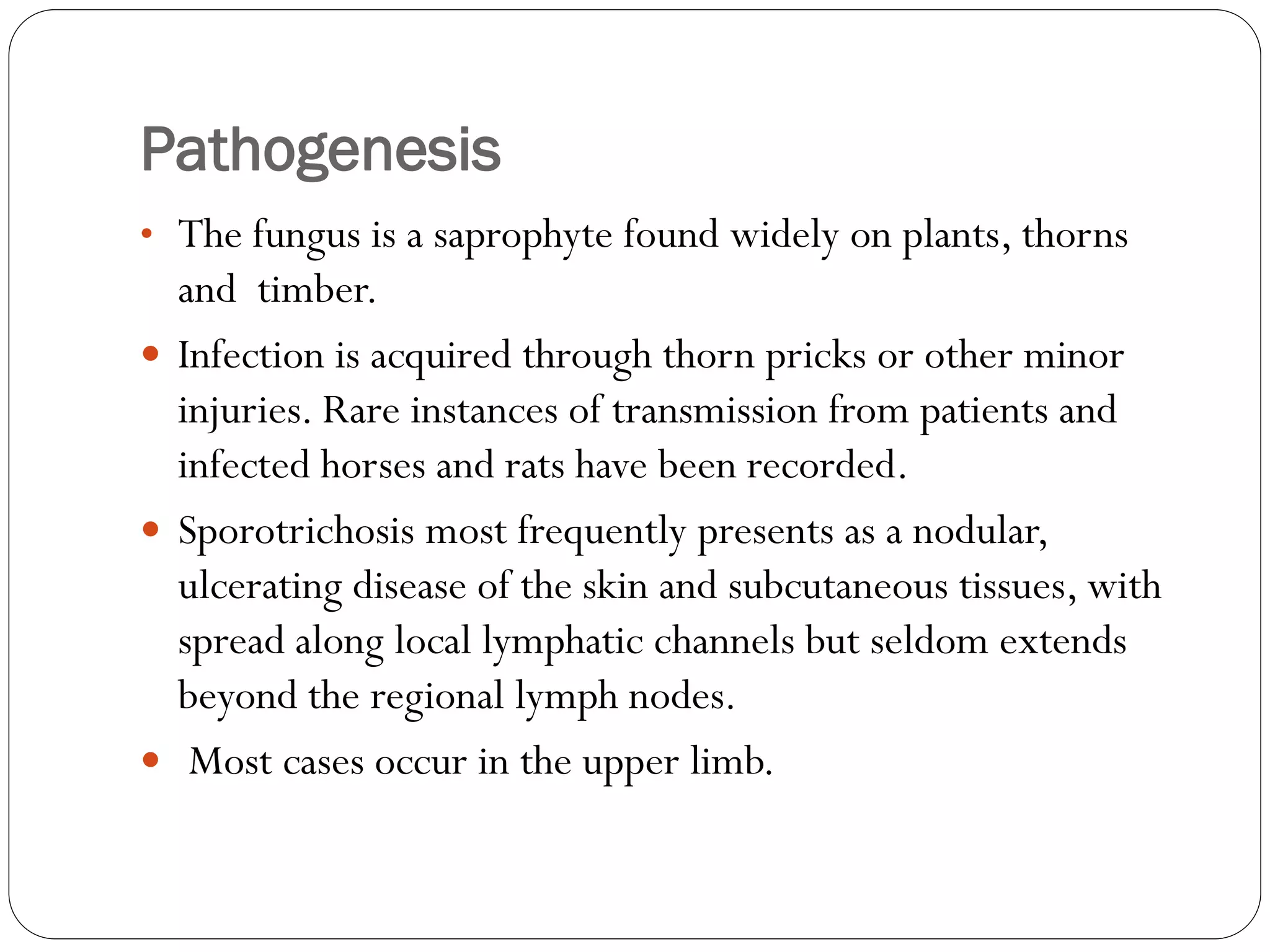 Pathogenesis
• The fungus is a saprophyte found widely on plants, thorns
and timber.
 Infection is acquired through thorn pricks or other minor
injuries. Rare instances of transmission from patients and
infected horses and rats have been recorded.
 Sporotrichosis most frequently presents as a nodular,
ulcerating disease of the skin and subcutaneous tissues, with
spread along local lymphatic channels but seldom extends
beyond the regional lymph nodes.
 Most cases occur in the upper limb.
 