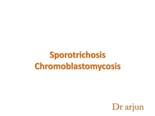 Sporotrichosis
Chromoblastomycosis
Dr arjun
 