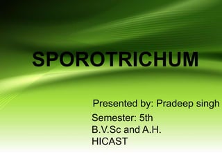 SPOROTRICHUM
Presented by: Pradeep singh
Semester: 5th
B.V.Sc and A.H.
HICAST
 