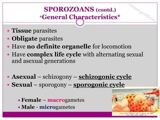 SPOROZOANS (contd.)
           *General    Characteristics*

 Tissue parasites
 Obligate parasites
 Have no definite organelle for locomotion
 Have complex life cycle with alternating sexual
 and asexual generations

 Asexual – schizogony – schizogonic cycle
 Sexual – sporogony – sporogonic cycle

    Female  – macrogametes
    Male - microgametes
 