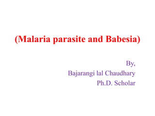 (Malaria parasite and Babesia)
By,
Bajarangi lal Chaudhary
Ph.D. Scholar
 