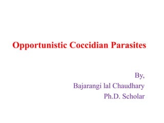 Opportunistic Coccidian Parasites
By,
Bajarangi lal Chaudhary
Ph.D. Scholar
 