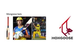 Mongoose bats
 