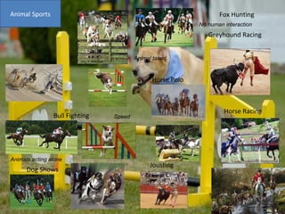 Animal Sports Jousting Fox Hunting Horse Polo Dog Shows Horse Racing Greyhound Racing Bull Fighting Animals acting alone Speed No human interaction Animal talent 