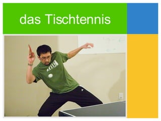 das Tischtennis