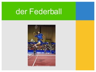 der Federball