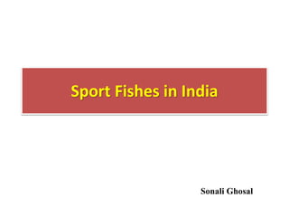 Sonali Ghosal
Sport Fishes in India
 