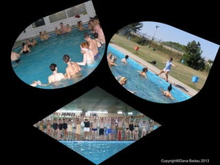 Copyright®Dana Badau 2013
 