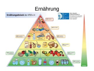 Ernährung
 