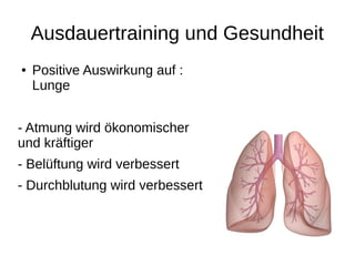 Ausdauertraining und Gesundheit
● Positive Auswirkung auf :
Lunge
- Atmung wird ökonomischer
und kräftiger
- Belüftung wird verbessert
- Durchblutung wird verbessert
 