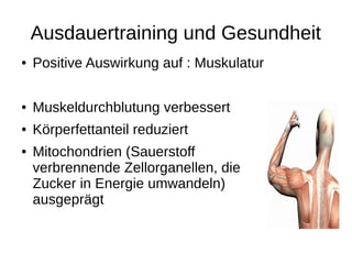 Ausdauertraining und Gesundheit
● Positive Auswirkung auf : Muskulatur
● Muskeldurchblutung verbessert
● Körperfettanteil reduziert
● Mitochondrien (Sauerstoff
verbrennende Zellorganellen, die
Zucker in Energie umwandeln)
ausgeprägt
 