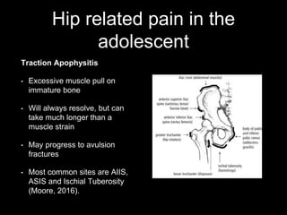 Sporting Hip and Groin | PPTX