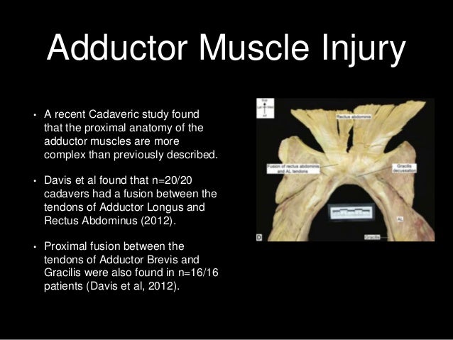 Sporting Hip and Groin
