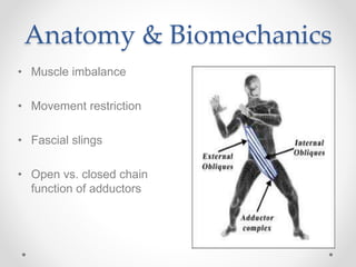 Sporting Hip and Groin | PPTX