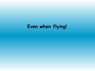 Even when flying!
 