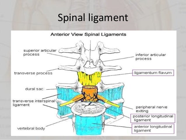 Sport Injuries - Back injury