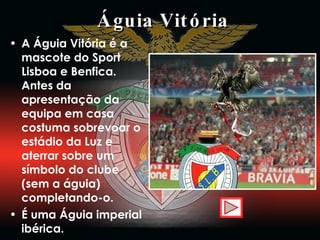 Águia Vitória A Águia Vitória é a mascote do Sport Lisboa e Benfica. Antes da apresentação da equipa em casa costuma sobrevoar o estádio da Luz e aterrar sobre um símbolo do clube (sem a águia) completando-o.  É uma Águia imperial ibérica. 