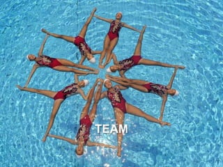 27
TEAM
 