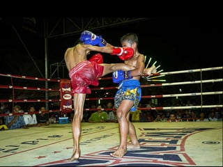 Sport or Survival. Muay Thai Boxing for Children in Thailand